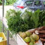 diversos alimentos, entre verduras e legumes, expostos em caixas em barraca de feira