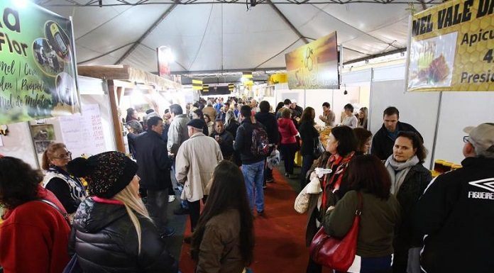 feira do mel em florianopolis começa nesta semana, de 5 a 8 de junho