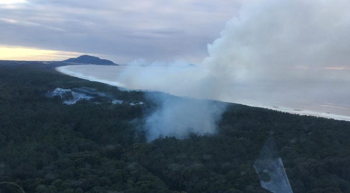 incendio no parque do rio vermelho florianopolis - cbm sc