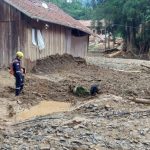 bombeiro faz busca por vítimas fatais com cachorro na lama em localidade do alto vale do itajaí; barraco ao lado