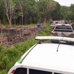 camFiscalização flagra ocupação irregular em mata e prende três no norte da ilha: nhonetes da polícia paradas em estrada ao lado de área desmatada e vegetação ao fundo