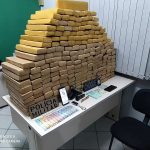 pilha de tabletes de maconha em apreensão na grande florianópolis