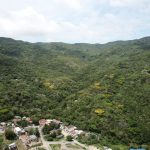 Vista de cima de uma área verde do Parque Natural Municipal do Maciço da Costeira, abaixo, no canto esquerdo é possível ver ruas e casas. O MPSC pede a demolição de imóveis irregulares construídos em uma área do parque.