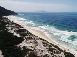 foto aérea da praia dos ingleses - verão começa com influência da la niña e alerta de temporal em sc