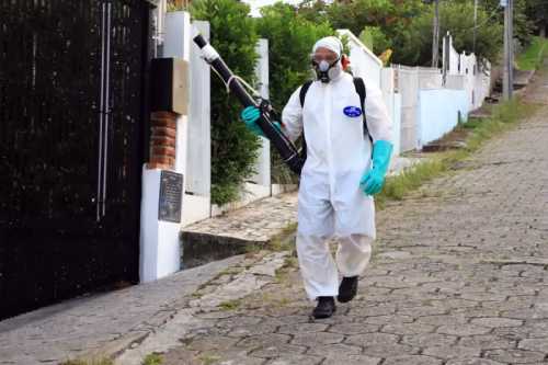 aplicação de inseticida em florianópolis