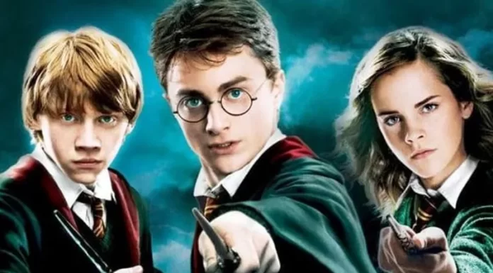 Aniversário do Bistek Supermercados traz o mundo mágico de Harry Potter