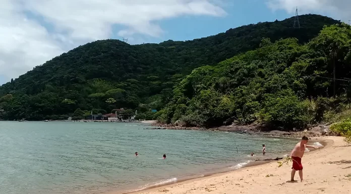 Praia dos Cedros