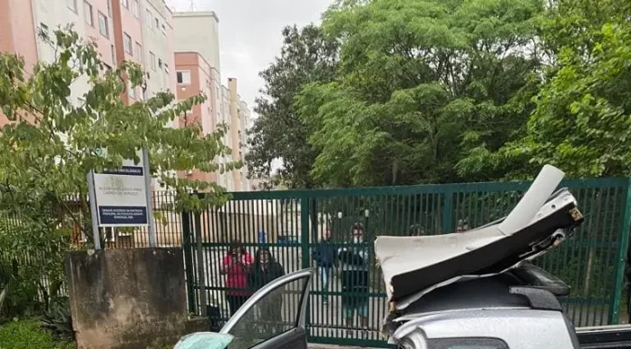 Carro ficou destruído pelo impacto da árvore