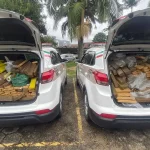 Polícia segue carro e encontra esconderijo de maconha no norte da ilha