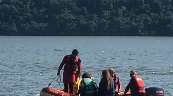 Equipe de reintrodução do bugio em Florianópolis sofre naufrágio na Lagoa do Peri