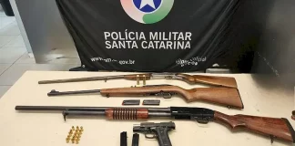 Quatro armas de fogo são apreendidas e um homem é detido em Florianópolis