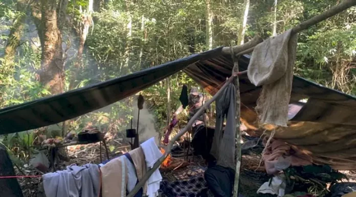 Após denúncia, policiais encontram acampamento clandestino para corte ilegal de palmeiras em Florianópolis