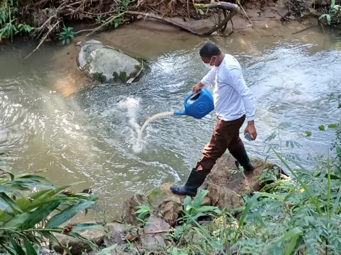 Inseticida é despejado nos rios de São José