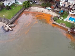 Maré vermelha afeta baía sul da Grande Florianópolis