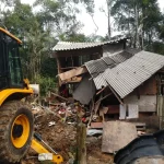 Casas irregulares em área de mata são demolidas em São José