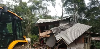 Casas irregulares em área de mata são demolidas em São José