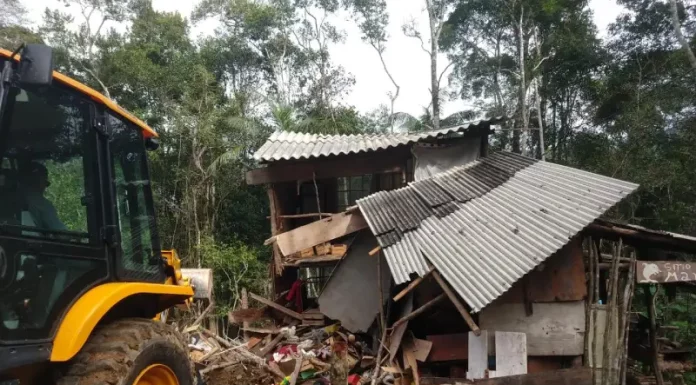 Casas irregulares em área de mata são demolidas em São José