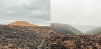 Incêndios no Parque Nacional de São Joaquim, na serra catarinense